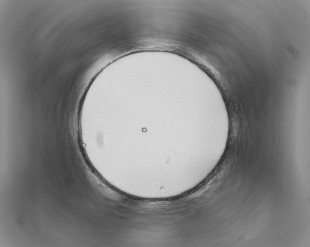 X0000110931471200907301613
