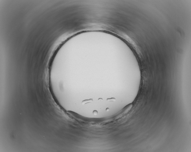 X0000110931472200907301613