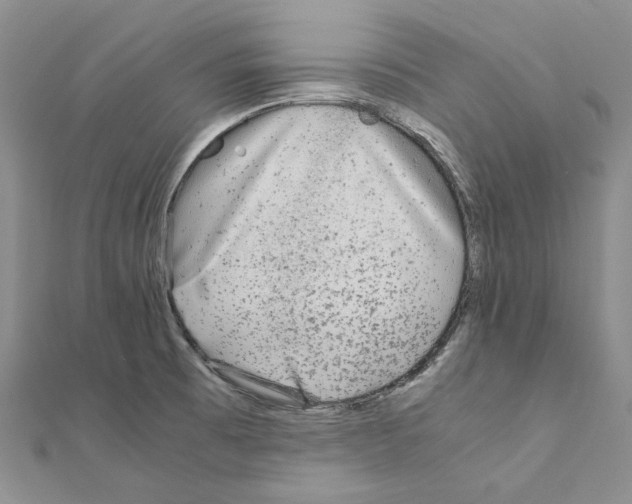 X0000110931473200907301613