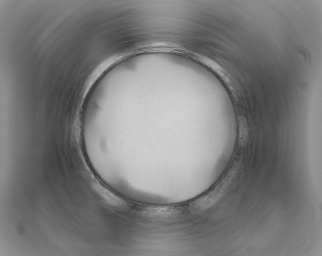 X0000110931474200907301613