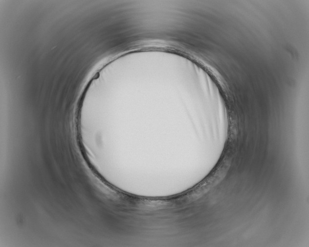 X0000110931475200907301613
