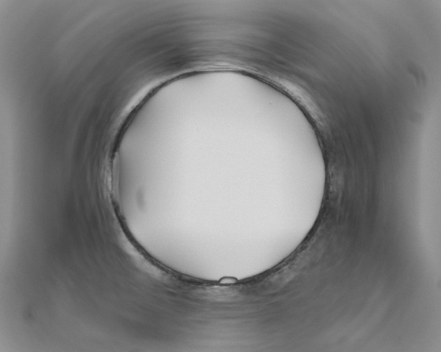 X0000110931476200907301613