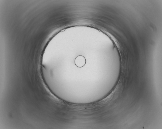 X0000110931477200907301613
