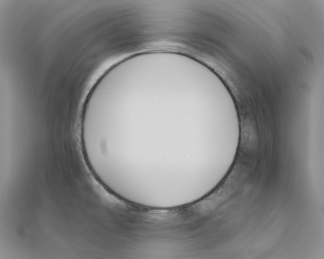 X0000110931478200907301613