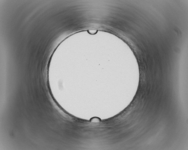 X0000110931479200907301613