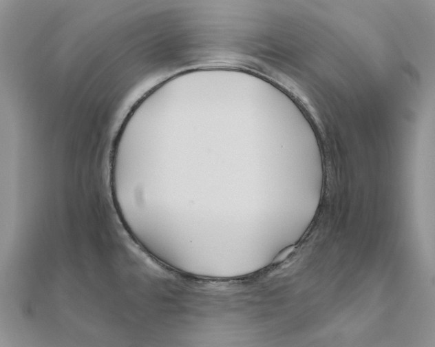 X0000110931480200907301613