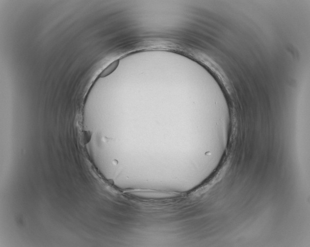 X0000110931481200907301613