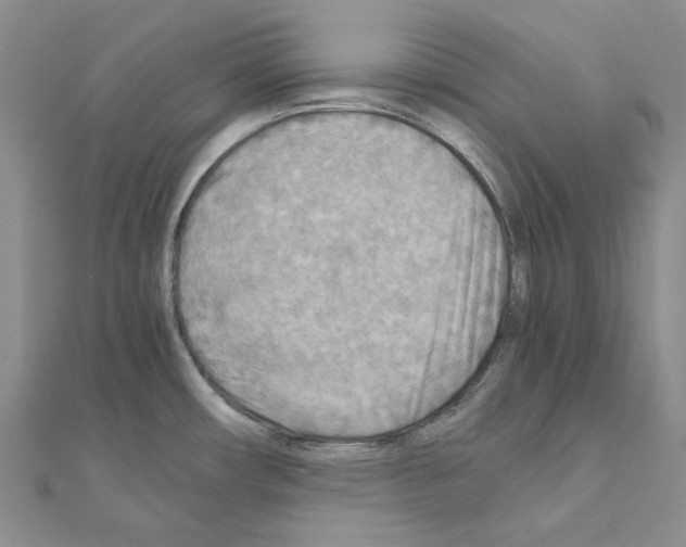 X0000110931482200907301613