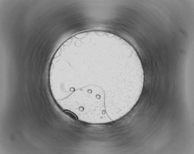 X0000110931483200907301613