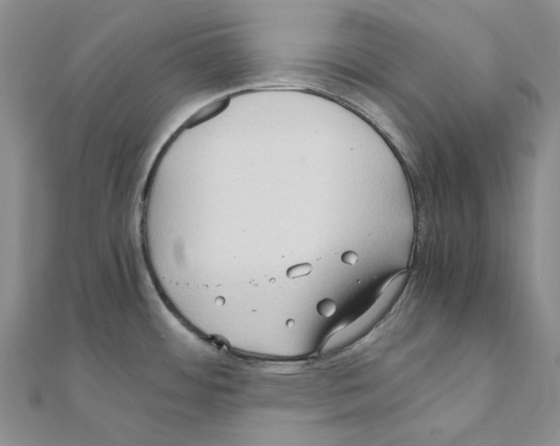 X0000110931484200907301613