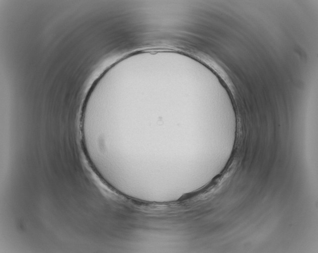 X0000110931485200907301613