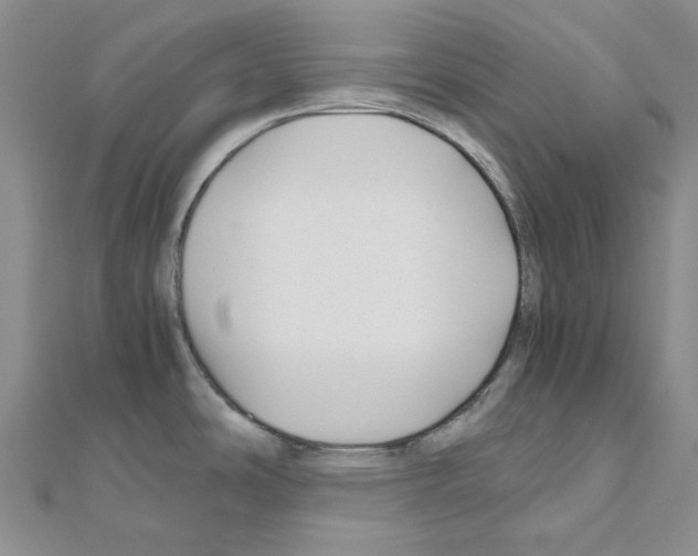 X0000110931486200907301613