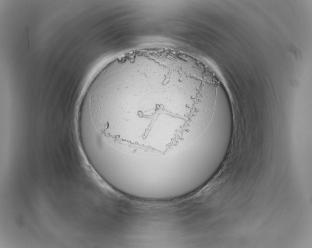 X0000110931488200907301613