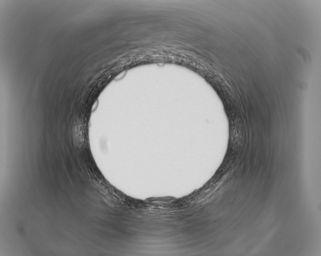 X0000110931490200907301612