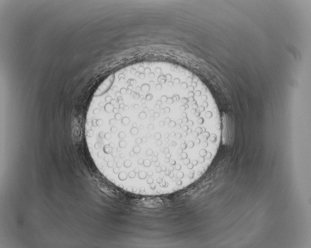 X0000110931491200907301612