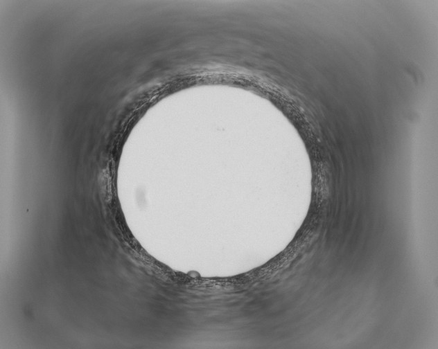 X0000110931493200907301612