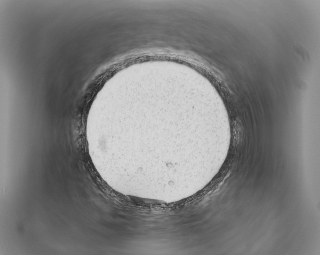 X0000110931494200907301612
