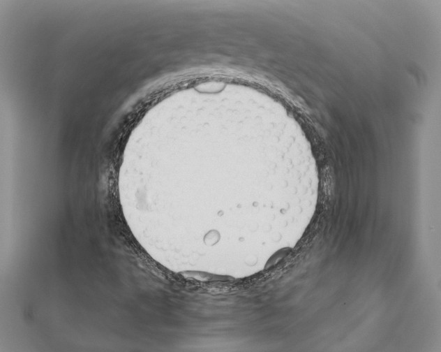 X0000110931495200907301612