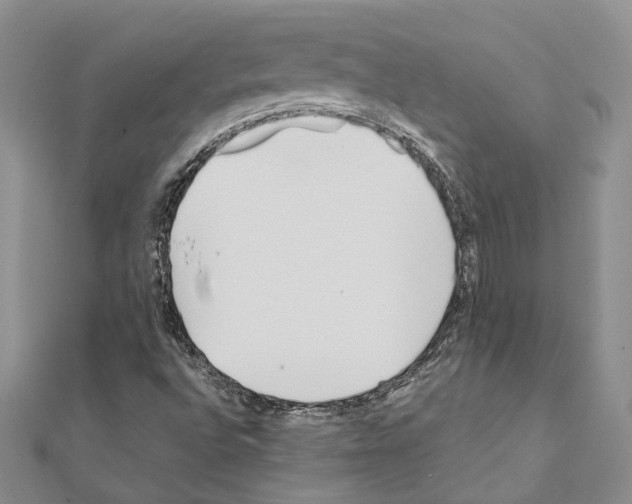 X0000110931496200907301612
