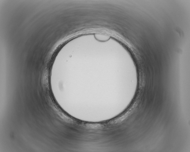 X0000110931498200907301612