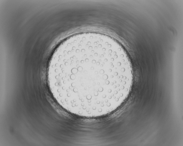 X0000110931499200907301612
