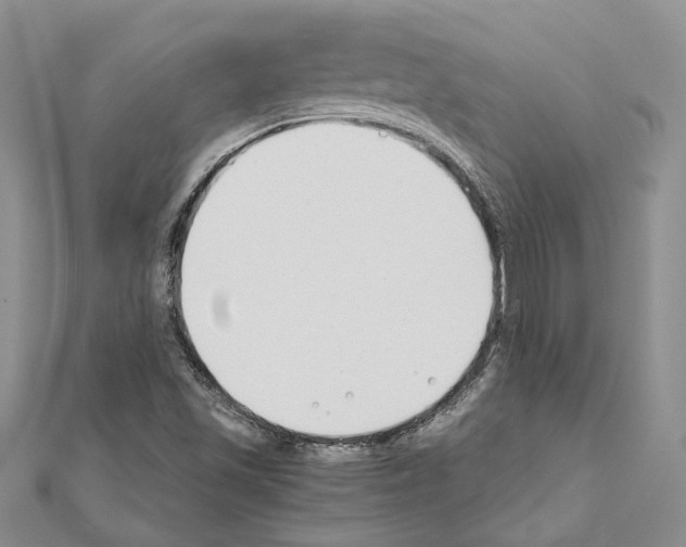 X0000110931501200907301612