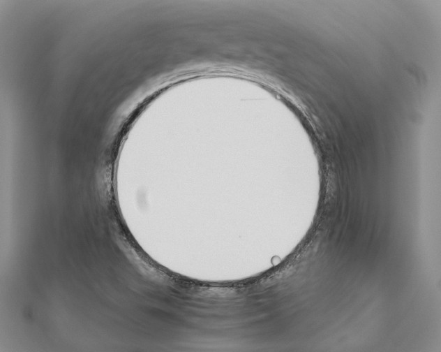 X0000110931503200907301612