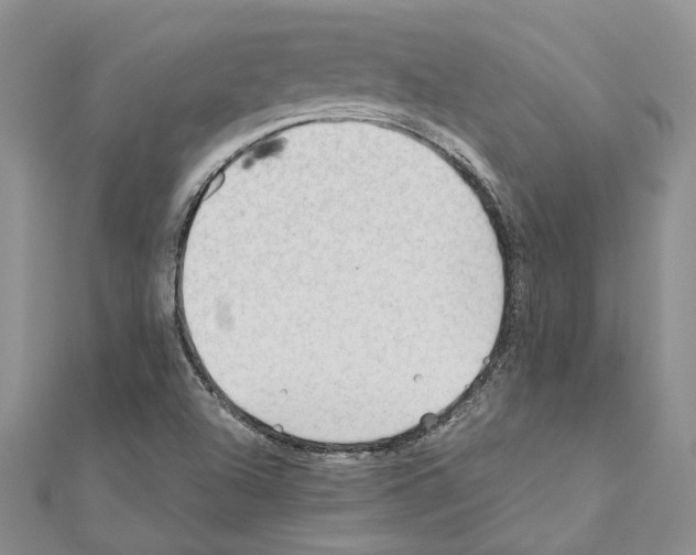 X0000110931504200907301612