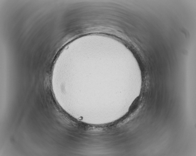 X0000110931505200907301612