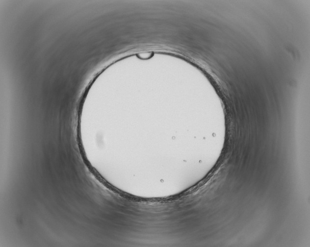 X0000110931508200907301612