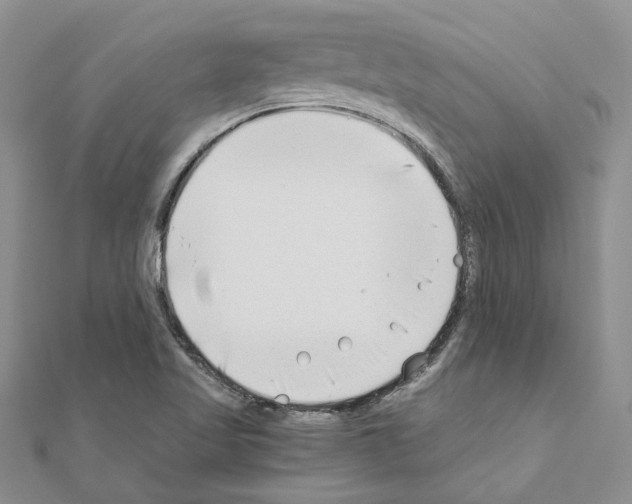X0000110931509200907301612
