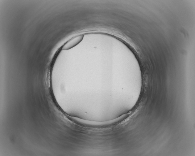 X0000110931510200907301612