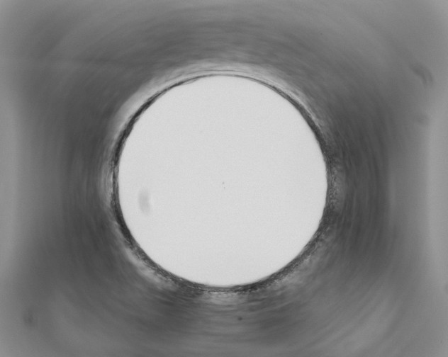 X0000110931511200907301612