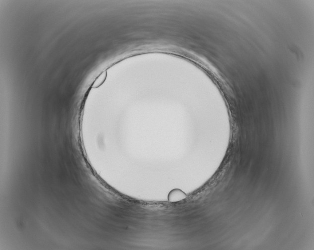 X0000110931512200907301612