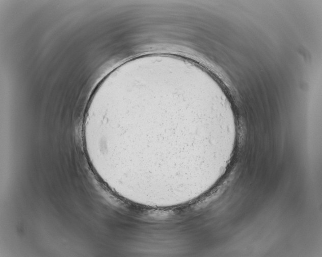 X0000110931513200907301612