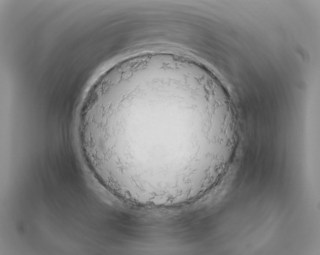 X0000110931514200907301612