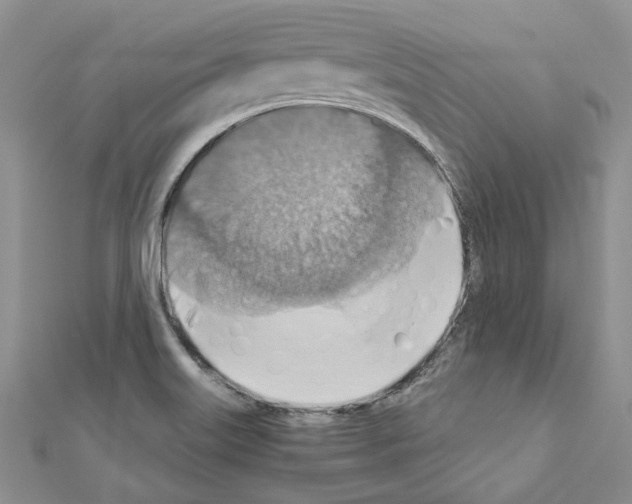 X0000110931515200907301612