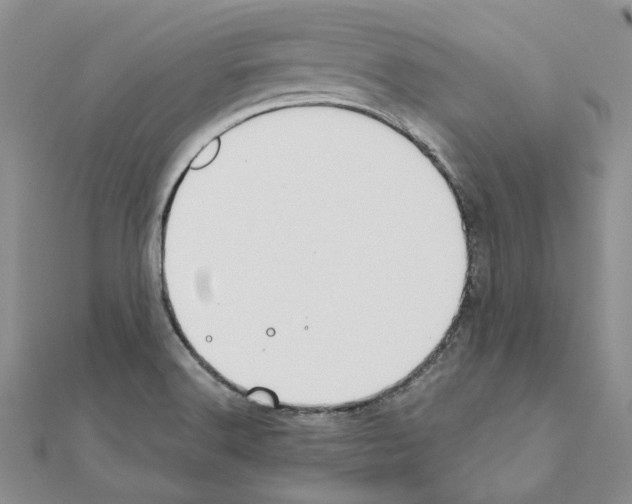 X0000110931516200907301613