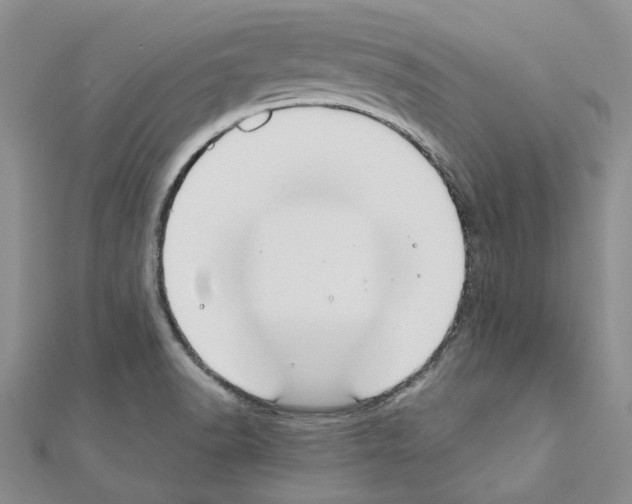 X0000110931518200907301613