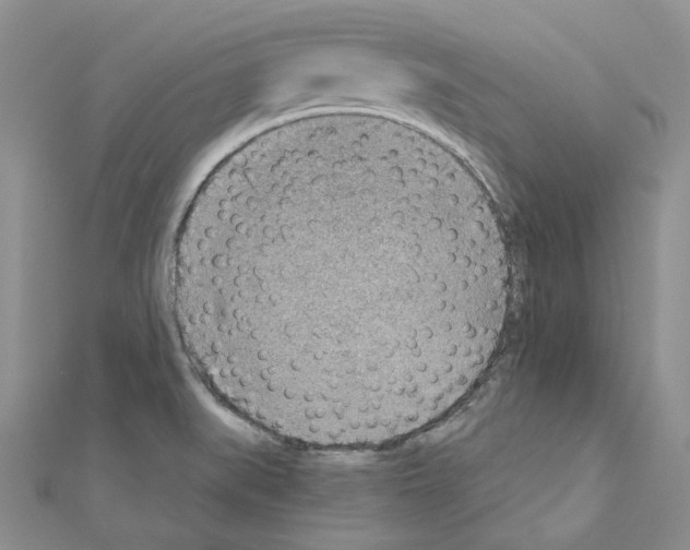 X0000110931519200907301613