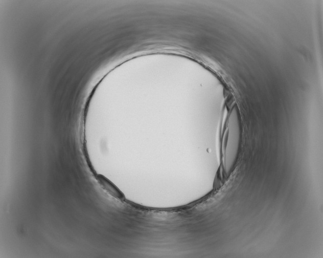 X0000110931520200907301613