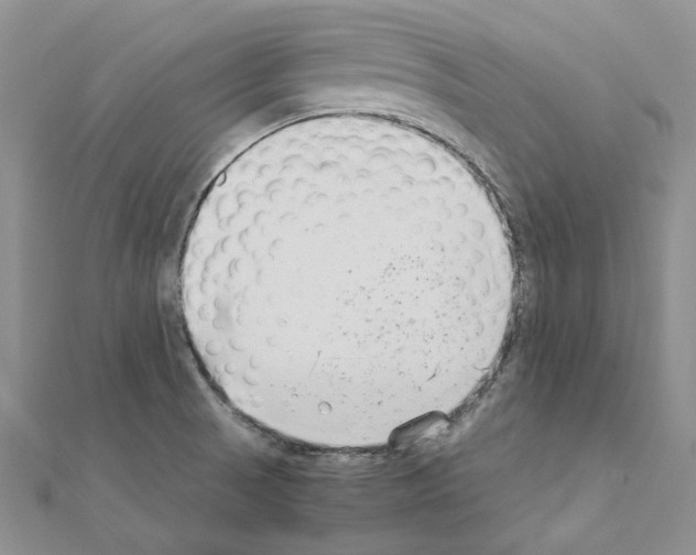 X0000110931521200907301613