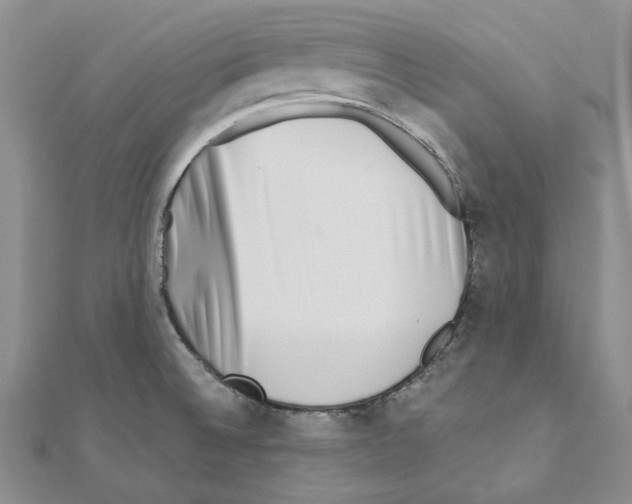 X0000110931524200907301613