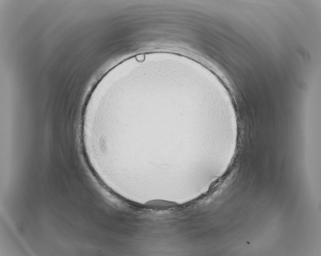 X0000110931525200907301613
