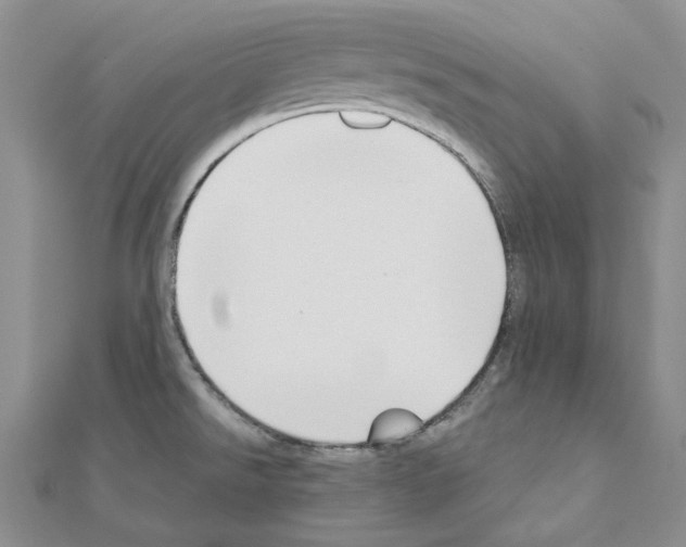 X0000110931526200907301613