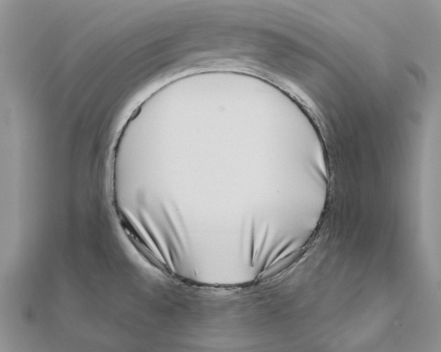 X0000110931528200907301613
