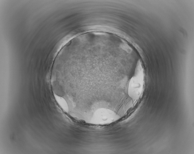 X0000110931529200907301613