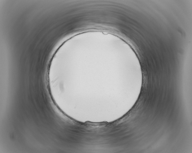 X0000110931531200907301613