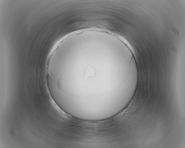 X0000110931532200907301613