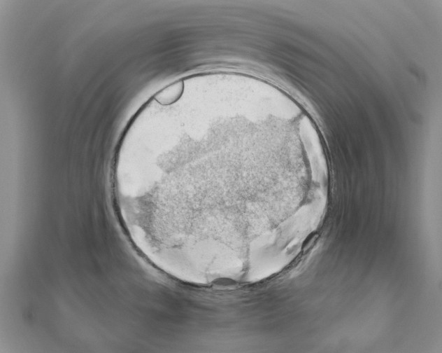X0000110931533200907301613